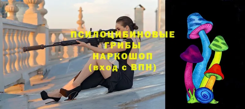 Галлюциногенные грибы GOLDEN TEACHER  Константиновск 